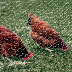 Chicken Fence Wire Netting Fence 20 Meter Hexagonal Poultry Netting Wire Galvanized Chicken Wire Mesh Fence 