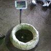450mm Simple Coil Or Clipped CBT65 Hot Dipped Galvanized Or Stainless Steel Razor Wire