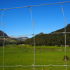 Sheep And Goat Fence